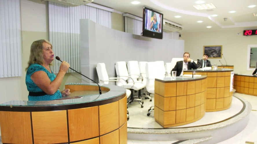 Legislativo forma Comissões Permanentes Legislativo forma Comissões Permanentes